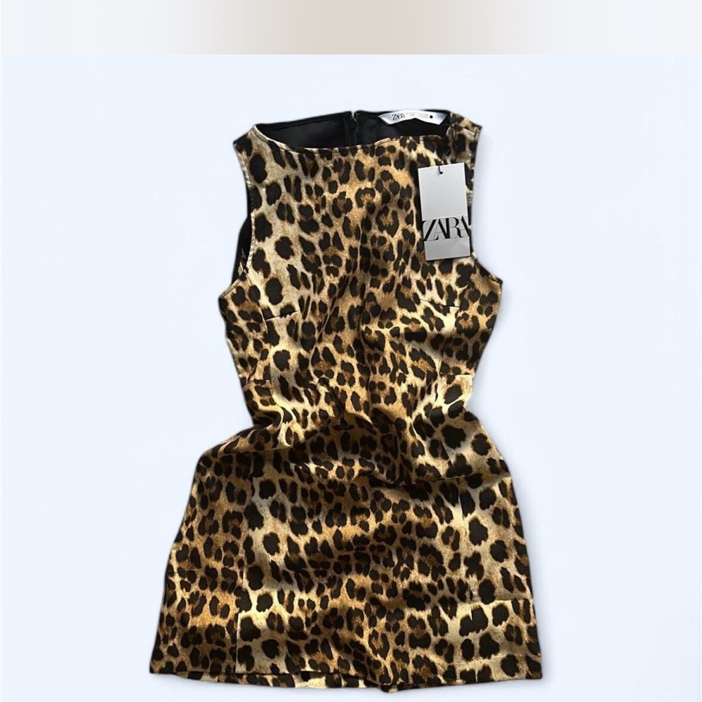 Zara Leopard Print Dress